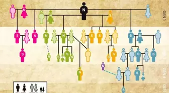Bilim insanları DNA incelemesiyle dünyanın en eski soy ağacını ortaya çıkardı