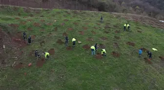 Kocaeli Büyükşehir'den Gölcük Hisareyn'e bal ormanı