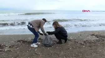 SAMSUN'DA ÖĞRENCİLER SAHİL TEMİZLİĞİ YAPTI