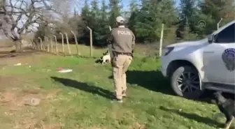 Son dakika haberi... Polis kışın yiyecek bulamayan sokak ve yaban hayvanlarına destek oldu