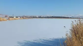 Son dakika haber! Sivas'ta Ulaş Gölü'nün yüzeyi buz tuttu