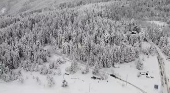 Artvin'in turizm merkezi Kafkasör Yaylası beyaz örtüyle kaplandı