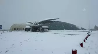 Dondurucu soğuklarda Tropikal Kelebek Bahçesi ziyaretçisinin içini ısıtıyor