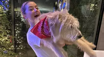 Amber Heard, yeni köpeğine tartıştığı Avustralyalı siyasetçinin ismini verdi