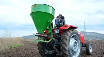 Damızlık Koyun Üretim Merkezi İçin Yem Bitkisi Ekildi