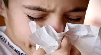 Domuz gribi bulaşıcı mı? H1N1 domuz gribi nedir, belirtilieri neler?