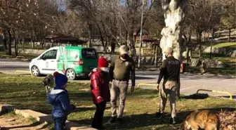 Malatya'da polis ekiplerinden sokak hayvanlarına yem ve mama desteği