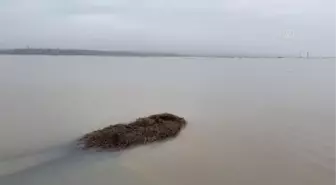 Ergene Nehri'nin yatağından taşması nedeniyle bazı köy yolları ulaşıma kapandı (2)