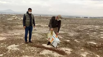 Karaman'da sokak hayvanlarına yem bırakıldı