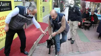 Samsun'da polisten yasaklı ırk köpek denetimi