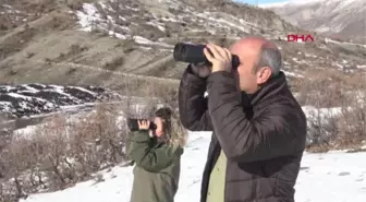 ŞIRNAK'TA KAÇAK AVCILIĞA DRONLU DENETİM