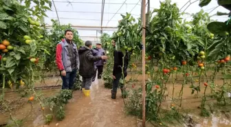 'Kırmızı kodlu' Kumluca'da dereler taştı, seralar su altında kaldı