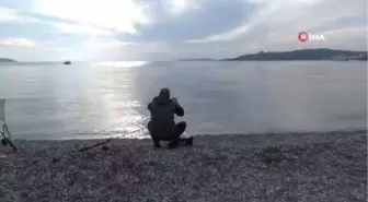 Bodrum'da yeni yılın ilk gününde güzel havayı denize girerek değerlendiler