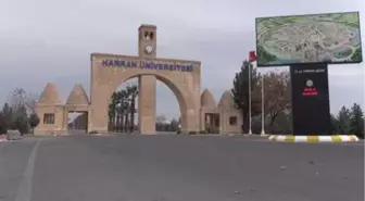 ŞANLIURFA - Üniversite bahçesinde köpeklerin saldırdığı öğrenci o anları anlattı