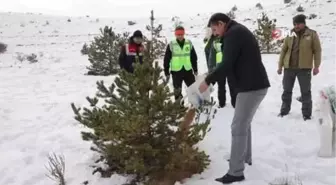 Sivas Valisi Salih Ayhan yaban hayvanları için doğaya yem bıraktı