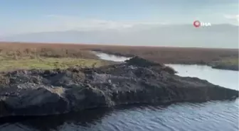 Eber Gölü'nün eski haline gelmesi için kaçak bentler açılmaya başlandı