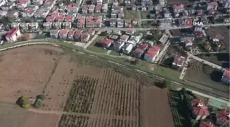 Türkiye'nin ilk 'meyve' temalı millet bahçesi Yalova'da yapılıyor