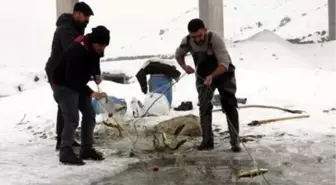 Donan derede Eskimo usulü balık avı