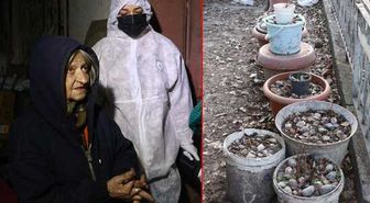 Ankara'da dehşet evi! Yaşlı kadın, ölü kedi ve köpekleri saksılara gömmüş