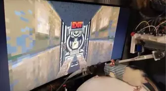 Bu da oldu! Elon Musk'a özenen bilim insanı, farelere bilgisayar oyunu oynamayı öğretti