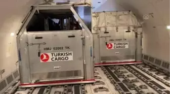 Turkish Cargo, 63 atı ABD'den Türkiye'ye güvenle taşıdı