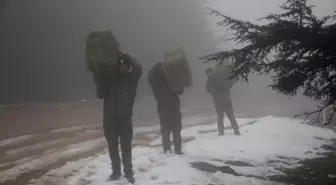 Kilis'te yaban hayvanları için doğaya yem bırakıldı