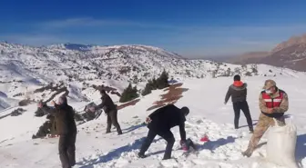 Siirt'te yaban hayvanları için doğaya yem bırakıldı