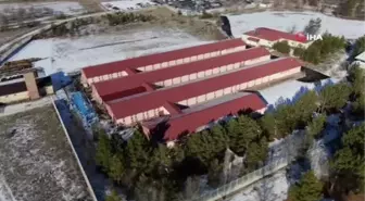 Solucan gübresi rekolte ve kaliteyi yüzde 60 artırdı