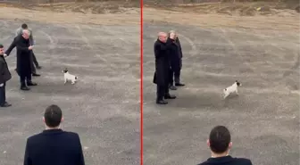 Cumhurbaşkanı Erdoğan, hayvan barınağında Maylo ile oynadı