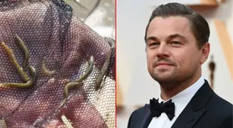 Dünyanın en çok arananlarından! 47 yıl sonra Batman'da görülen balık, Leonardo DiCaprio'nun bile dikkatini çekti