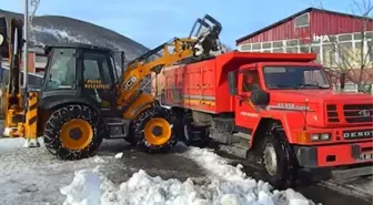 Posof'ta ilçe merkezindeki kar kamyonlarla ilçe dışına taşınıyor