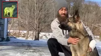 Kurt köpeği yolda sağa sola koşturuyordu! Köpeği takip ettiler ve gördükleri karşısında dehşete düştüler