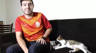 Üşümesin diye evine aldığı kedi 3 yavru doğurarak sürpriz yaptı