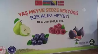 Yaş meyve sebze sektörü alım heyeti organizasyonunda yabancı alıcılar Bursa'ya geldi