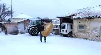 Kış mevsiminde köyde yaşam