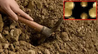 Kazmasının son darbesiyle havalara uçtu, topraktan değeri belirlenemeyen altınlar fışkırınca yetkilileri aradı
