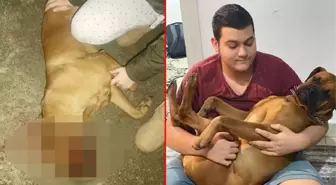 Otizmli gencin köpeği silahla öldürüldü, mahalle karıştı