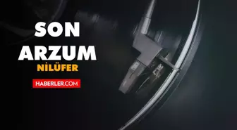 Nilüfer - Son Arzum şarkı sözleri! Nilüfer - Son Arzum dinle! Son Arzum sözleri!