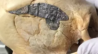 Topraktan bir türlü çıkarılmayan kafatası hemen korumaya alındı
