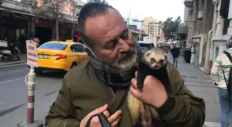 Walked at Taksim Square with a ferret on a leash; people were amazed