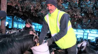 Huzur ve güven ortamıyla köyüne geri dönen çiftçinin yüzü güldü