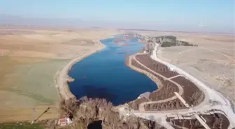 Konya Ovası'nın kuraklıktan etkilenmeyen gölü koruma altına alındı