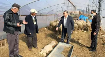 Menteşe Ziraat Odası'ndan afet mağdurlarına yardım