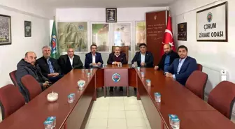 Çorum Ziraat Odası Başkanı Sayan: 'Üretimin devam etmesi için tedbiri alınması şart'