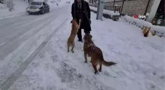 Onlar itfaiyenin neşe kaynakları