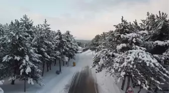 Beyaz gelinliğini giyen 42 yıllık gölet doğa tutkunlarının uğrak mekanı oluyor