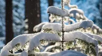 Düzce, Sinop, Kırşehir okullar tatil mi? Bugün Düzce, Sinop, Kırşehir kar tatili ilan edildi mi? Hangi illerde kar tatili var, il il ilçe ilçe liste!