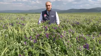 Tarımsal desteklemelerde rekor