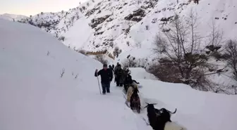 Karda kaybolan keçiler için seferber oldular