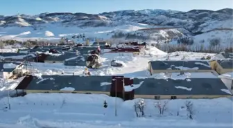 OVACIK'TA EVLER, KARA GÖMÜLDÜ